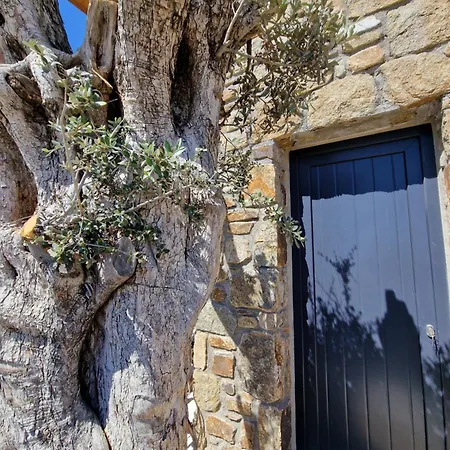 M-vibes Mykonos شقة فندقية كالافاتيس