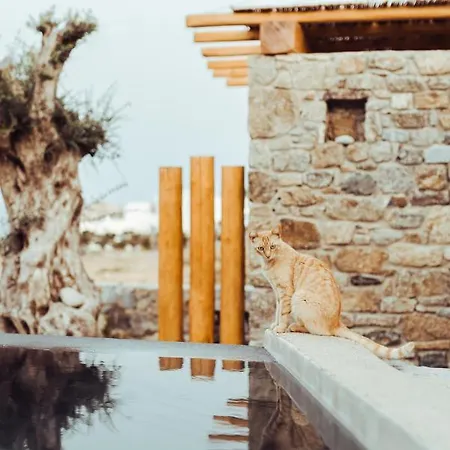 Ξενοδοχείο με διαμερίσματα M-vibes Mykonos