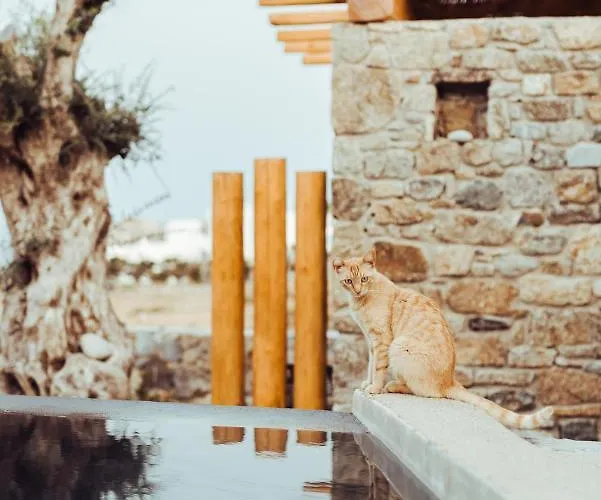 Апарт-отель M-vibes Mykonos