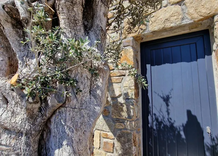 M-vibes Mykonos Apartahotel Kalafatis