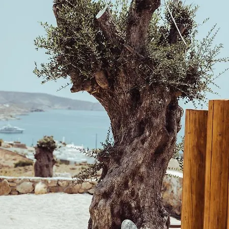 M-vibes Mykonos